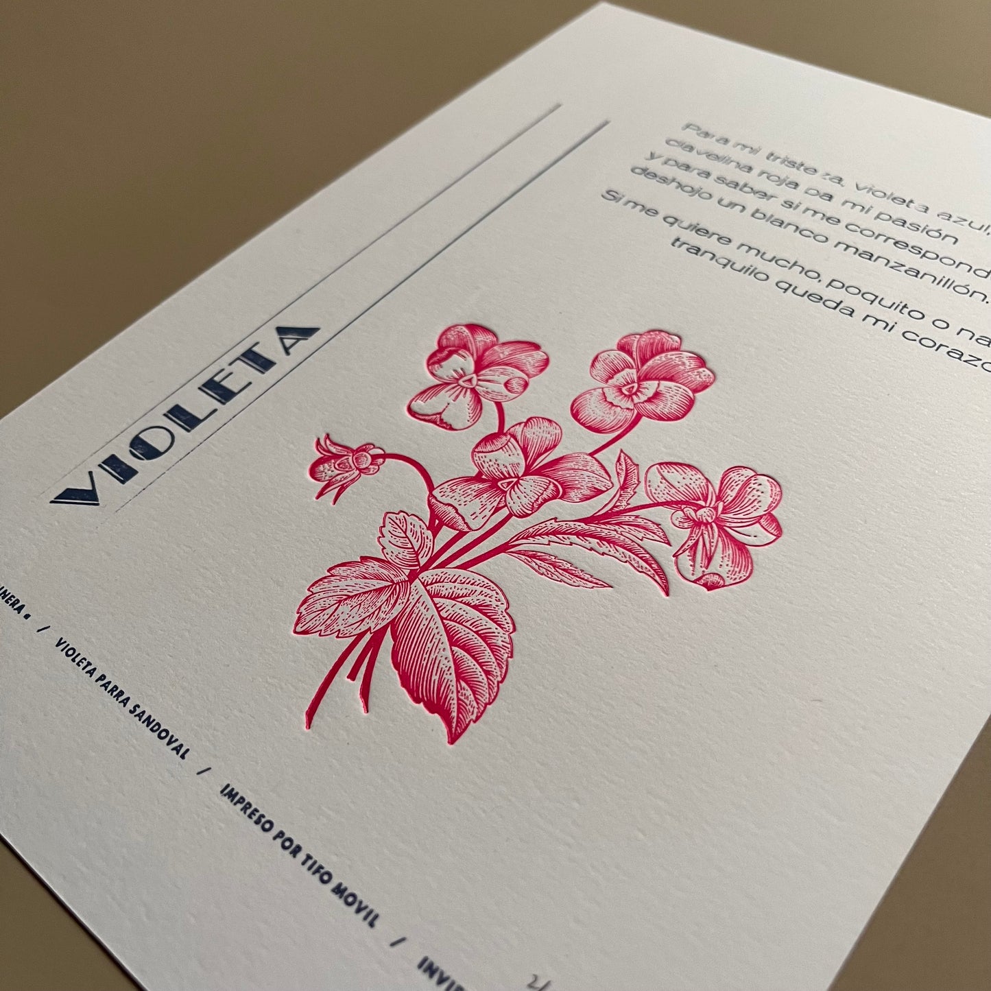 La Jardinera: Violeta