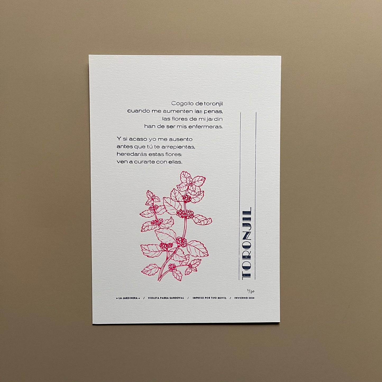 La Jardinera: Toronjil