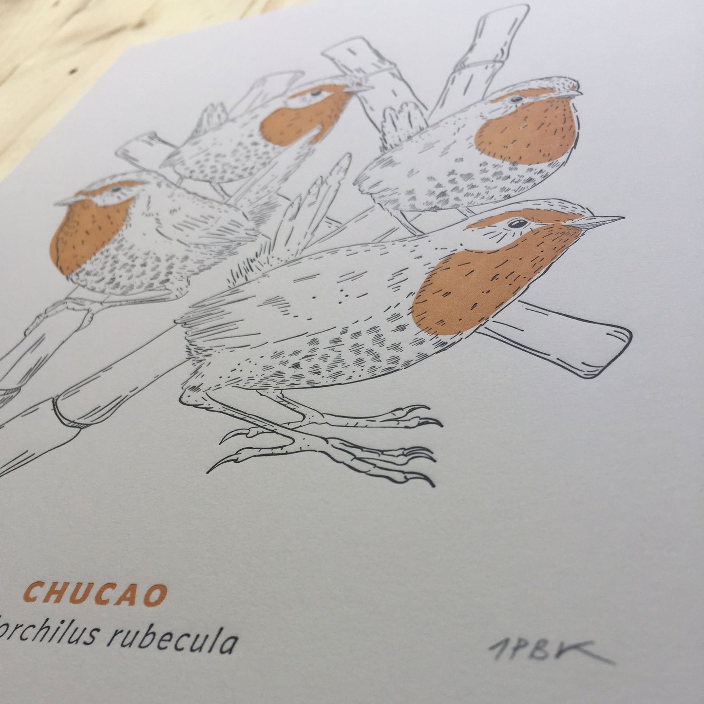 Chucao