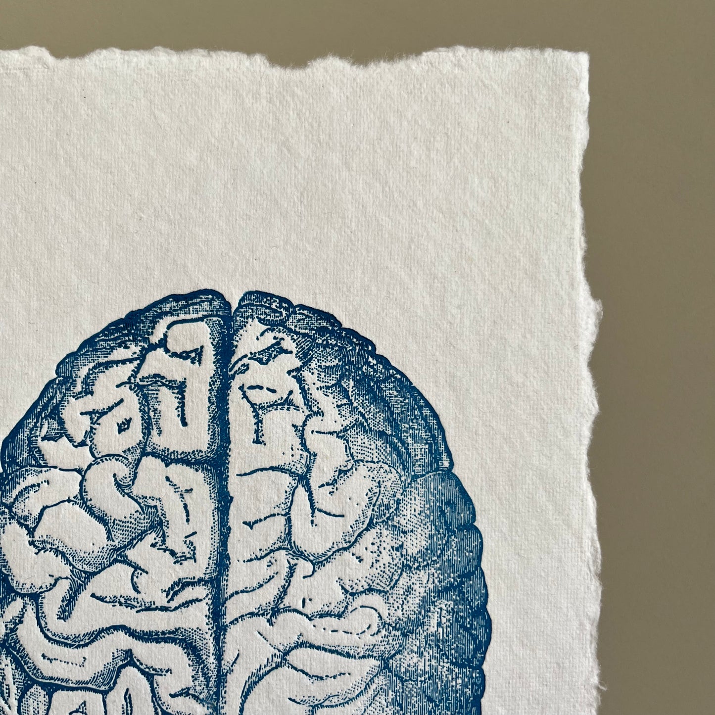 Cerebro