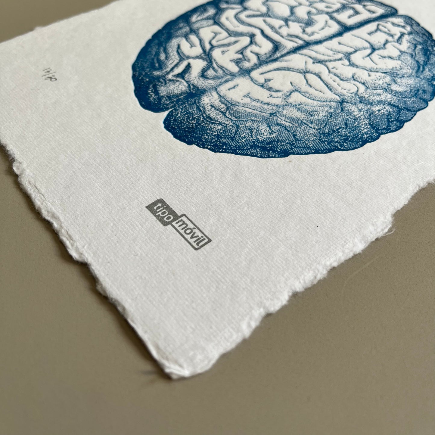 Cerebro