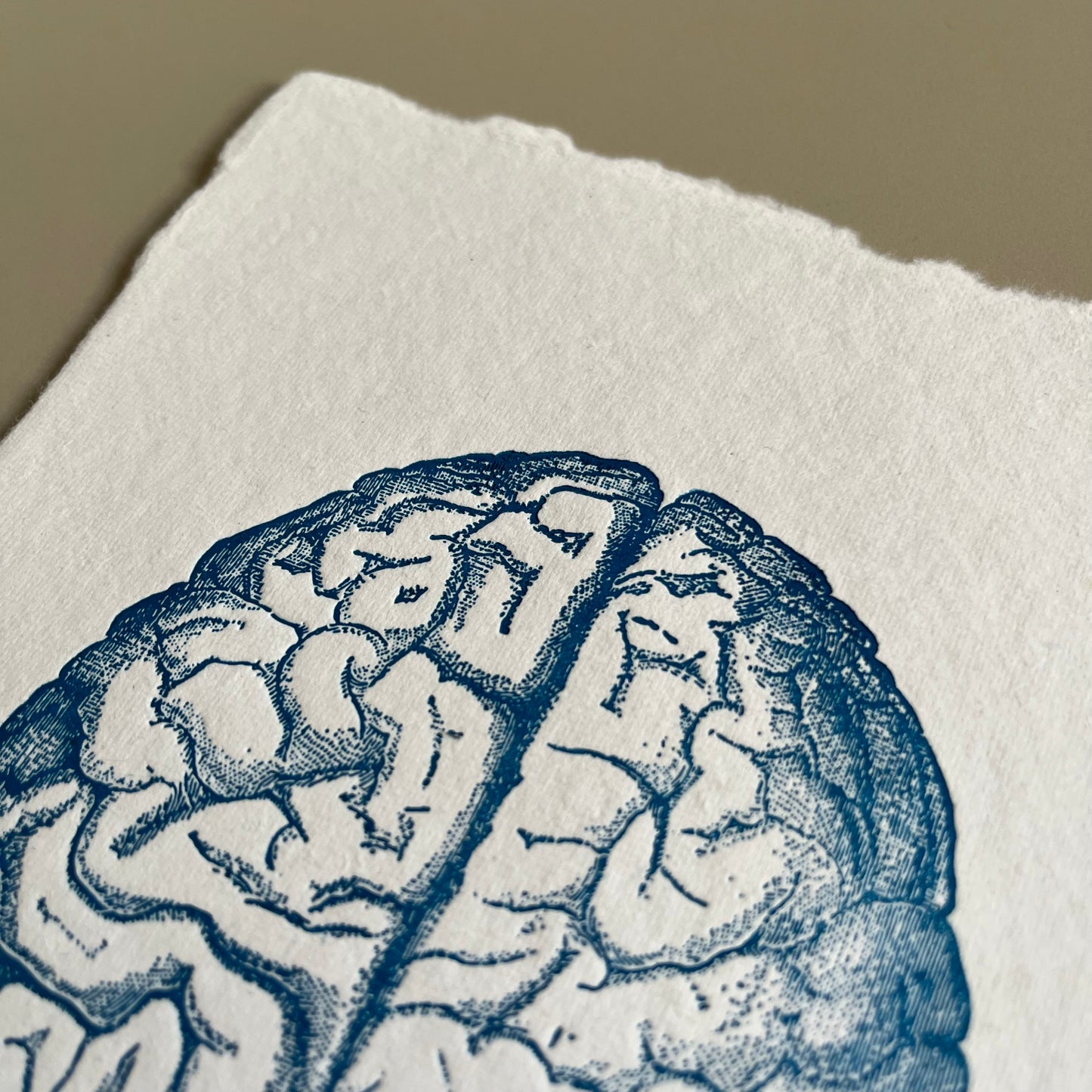 Cerebro