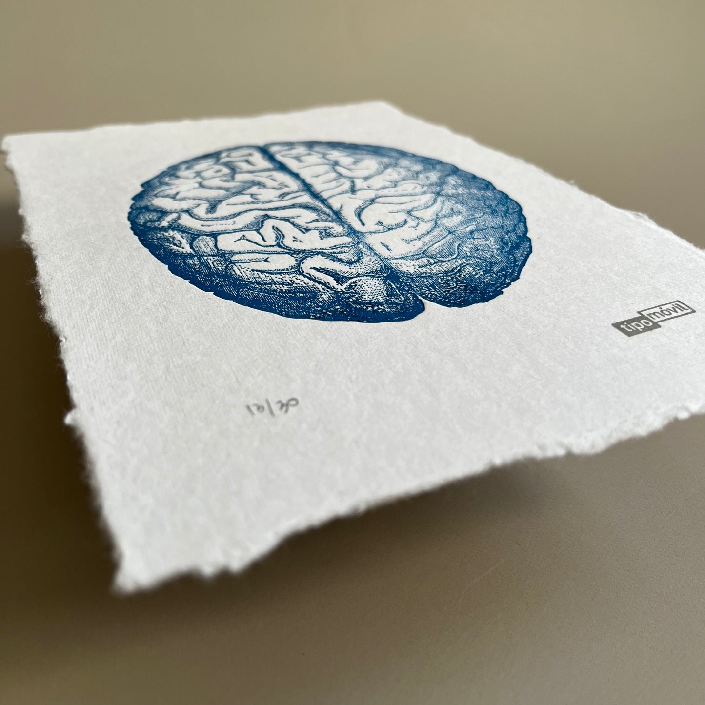Cerebro