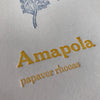 Amapola